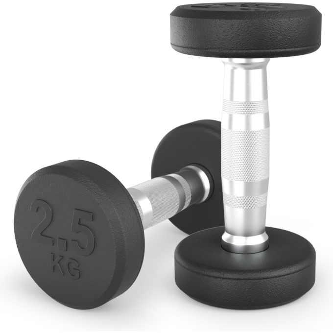 Гантель круглая UNIX FIT PRO обрезиненная 2,5 кг DBRND2_5PBKx2